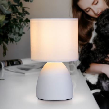 Настольная лампа с Led лампочками в комплекте Rivoli Б0053455+Lamps 