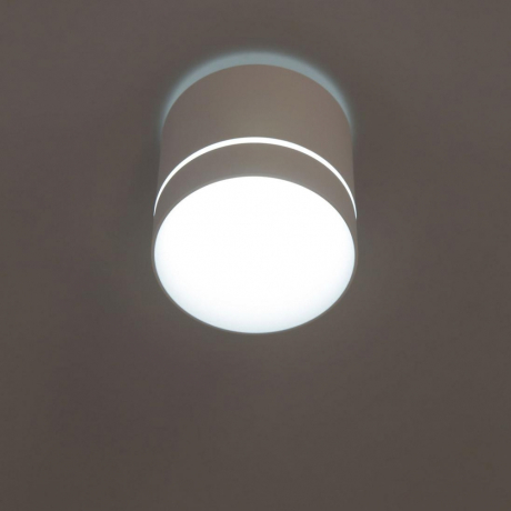 Накладной светильник Citilux Борн CL745020N 