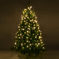 Занавес световой Eurosvet 200-003 200-003 теплый белый