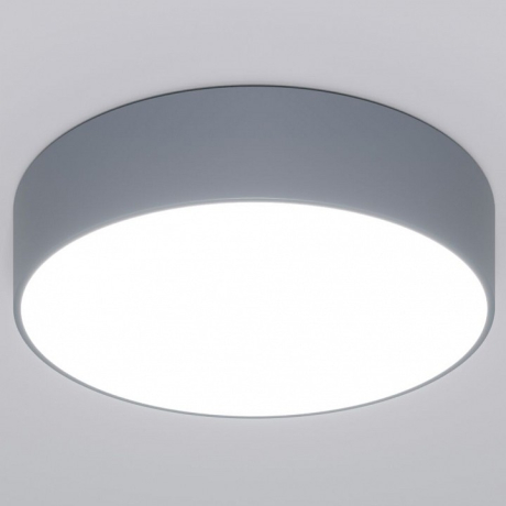 Накладной светильник Eurosvet Entire 90318/1 серый 