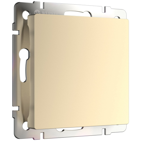 Другие встраиваемые розетки