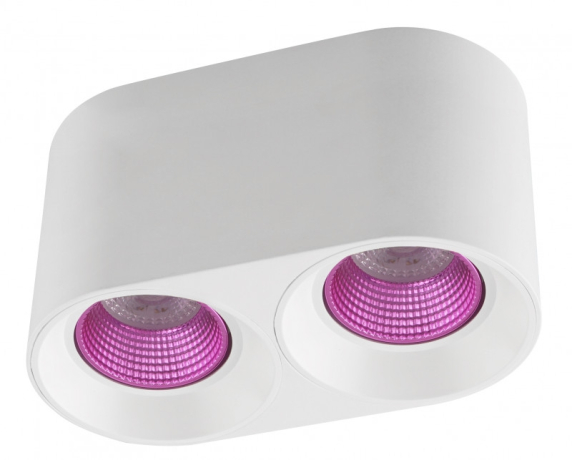 Накладной светильник Denkirs DK3020WPI DK3096-WH+PI 