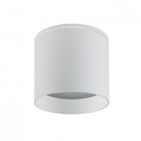 Накладной светильник Favourite Fantum 4662-1U