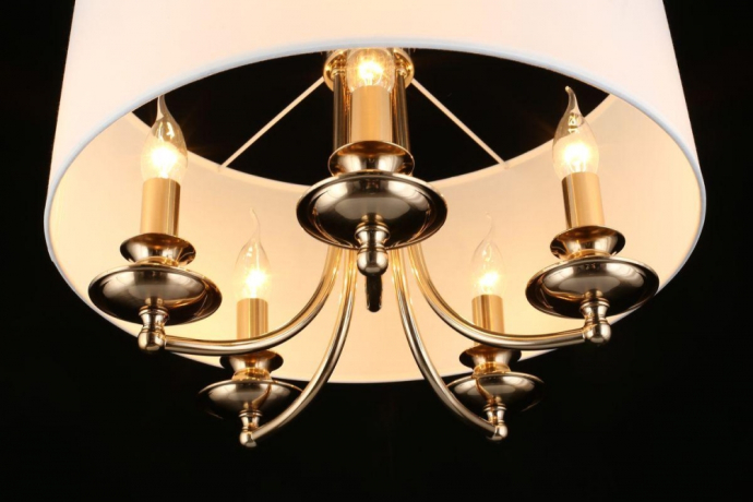 Подвесной светильник Aployt Berze APL.721.06.05 