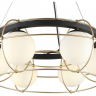 Подвесная люстра Aployt Mahot APL.317.03.06 