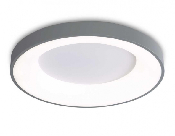 Потолочный светодиодный светильник Ambrella light Orbital Design FZ1402 