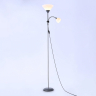 Торшер для чтения Traditional Ambrella light TR97626 