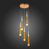 Светодиодный подвесной светильник Orpelo Evoluce SLE200103-05 
