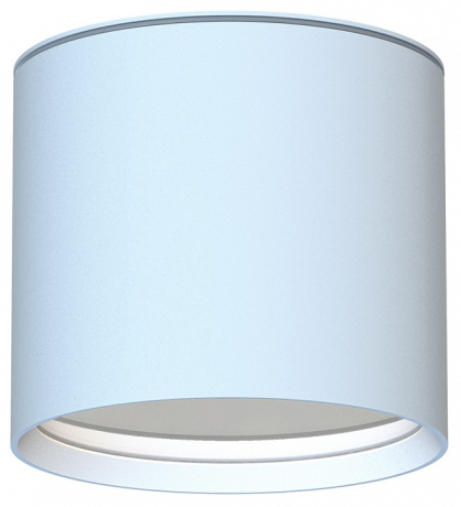 Накладной светильник Favourite Fantum 4664-1U 