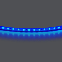 Лента цветного свечения 24V, синий Lightstar Lightstar 420515