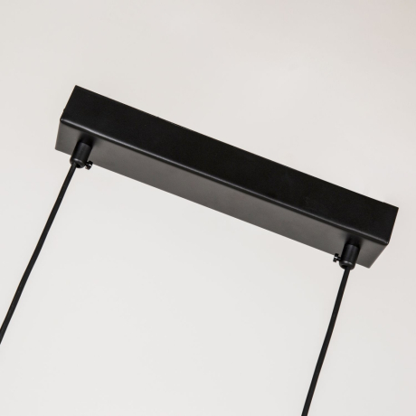 Подвесная люстра Raya Favourite 4096-2P 