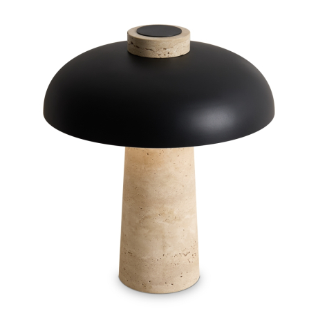 Настольная лампа декоративная Freya Sunspot FR5482TL-L7B 