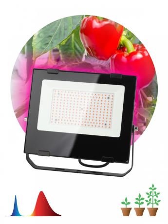 Фитопрожектор для растений светодиодный ЭРА FITO-100W-RB-LED для цветения и плодоношения красно-синего спектра 100 Вт Б0046369 