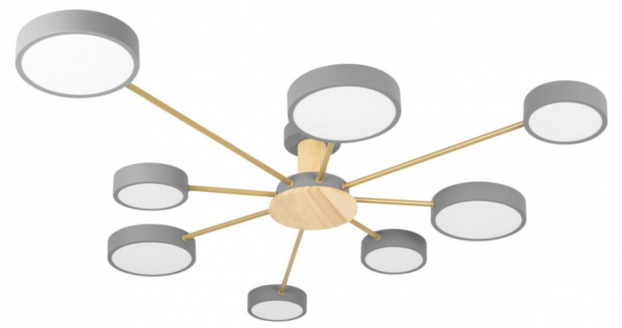 Потолочная люстра Loft it Sunrise 10316/8 Grey 