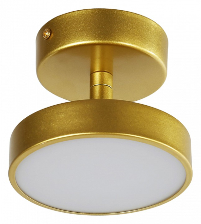 Светильник на штанге F-promo Atma 3059-1P 