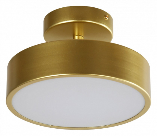 Светильник на штанге F-promo Atma 3059-2P 