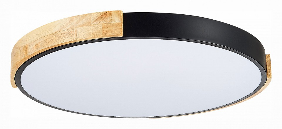 Накладной светильник EVOLUCE Delia SLE201342-01 