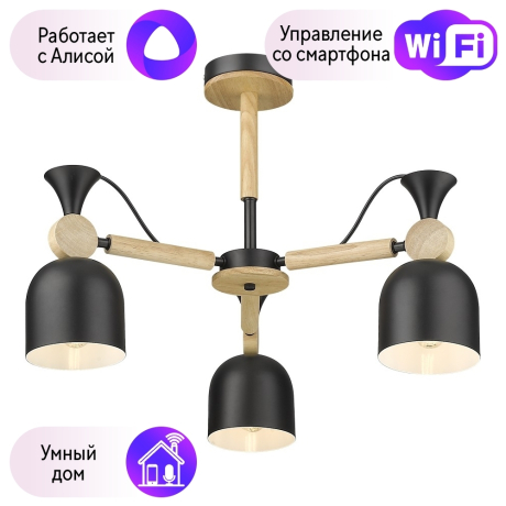 Люстра на штанге Velante с поддержкой Алиса 225-023-03-A 