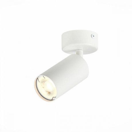 Потолочный светильник накладной поворотный ST-Luce Dario ST303.502.01 