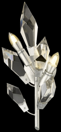 Настенное бра в наборе с 2 LED лампами. Комплект от Lustrof №657301-709216 