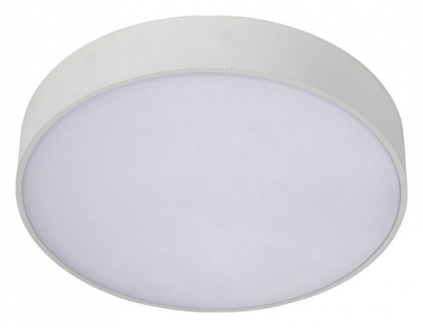 Накладной светильник Aployt Evon APL.0113.09.24 