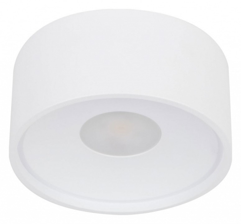 Накладной светильник Wertmark WTA WTA.O01.007.30.18 