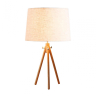 Настольная лампа декоративная Loft it Natural LOFT7112T 