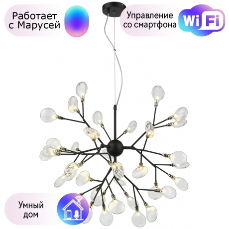 Подвесная люстра Wertmark FIORITA с поддержкой Маруся WE241.36.023-М 