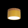 Накладной светодиодный светильник Loft IT Grape 10162 Yellow 