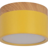 Накладной светильник Loft it Grape 10162 Yellow 