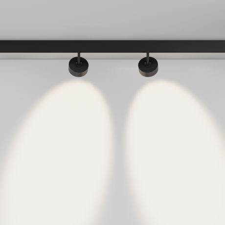 Светильник на штанге Maytoni Technical Lens TR217-2-15W4K-B 