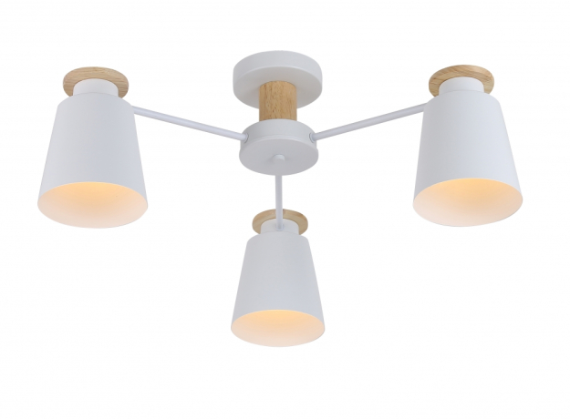 Потолочная люстра Rivoli Adna 9112-303 (Б0053435) 