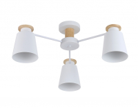 Потолочная люстра Rivoli Adna 9112-303 (Б0053435)