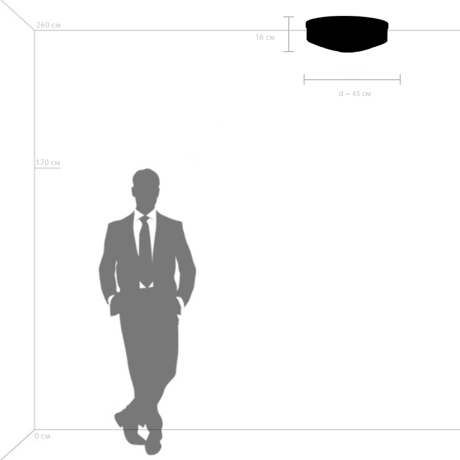 Потолочный светильник Lightstar с поддержкой Маруся Siena 720227 