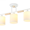 Потолочный светильник с лампочками Ambrella light TR9546+Lamps 