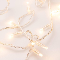 10м. Уличная гирлянда нить теплый свет Ardecoled 230V ARD-String-Classic-10000-Clear-100Led-Std Warm (25779)