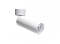 Спот (блок питания в комплекте) Donolux Rollo DL18895R20N1W ST