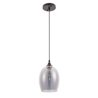 Подвесной светильник с лампочкой Arte lamp A4344SP-1BK+Lamps