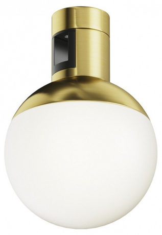 Накладной светильник Maytoni Technical Luna TR149-1-5W4K-BS 