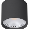 Накладной светильник Wertmark WTA WTA.O02.607.V0.07