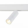 Светильник на штанге ST-Luce Lemmi ST365.536.12 