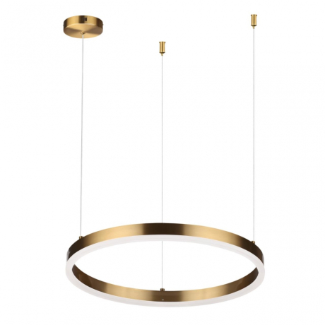 Подвесной светильник Lumion Ledio Echo 6531/34L 