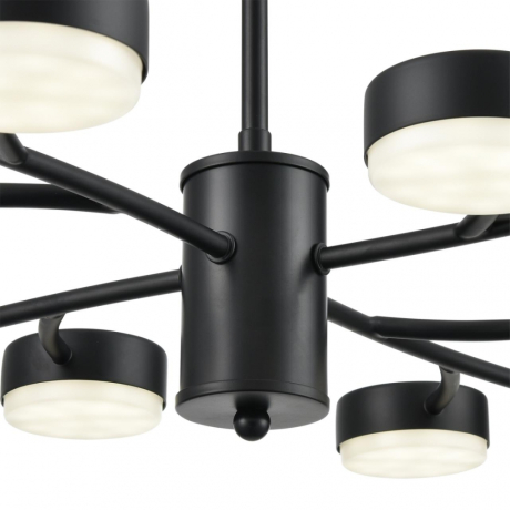 Люстра на штанге Lumion Torina 8117/12 