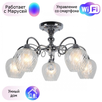 Люстра с поддержкой Маруси потолочная Omnilux OML-53607-05-M