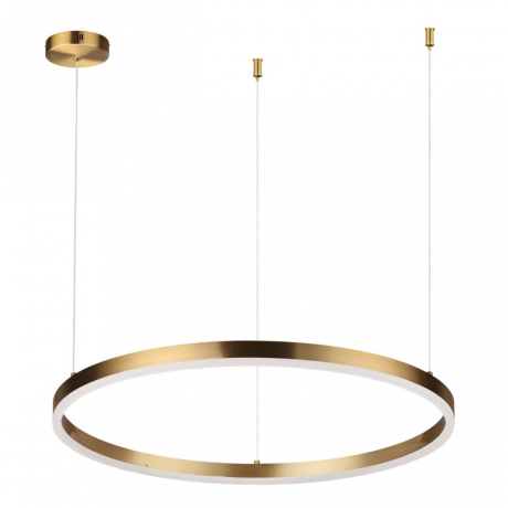 Подвесной светильник Lumion Ledio Echo 6531/50L 