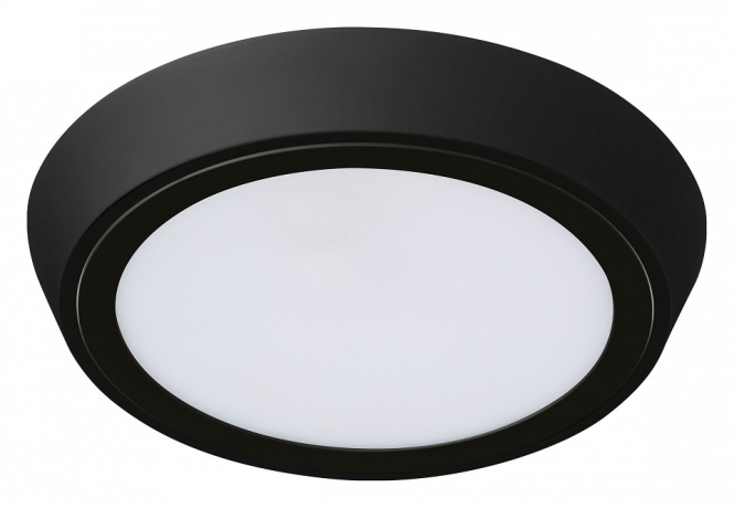 Накладной светильник Lightstar Urbano 216974 