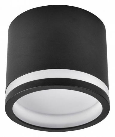 Накладной светильник Favourite Festum 4212-1C 