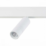 Светильник на штанге ST-Luce Lemmi ST365.546.12 