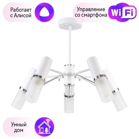Люстра на штанге F-Promo Viator с поддержкой Алиса 2559-5P-A 