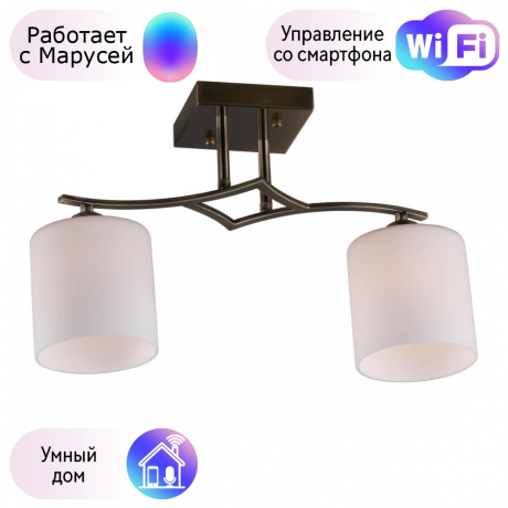 Люстра с поддержкой Маруси потолочная Omnilux OML-55317-02-M 